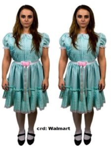 best friends matching costumes
Twin girl Halloween costumes